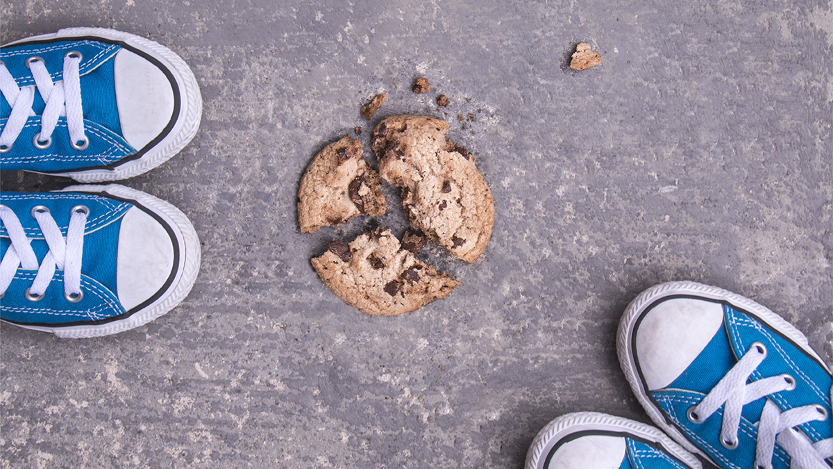 A broken cookie on the ground