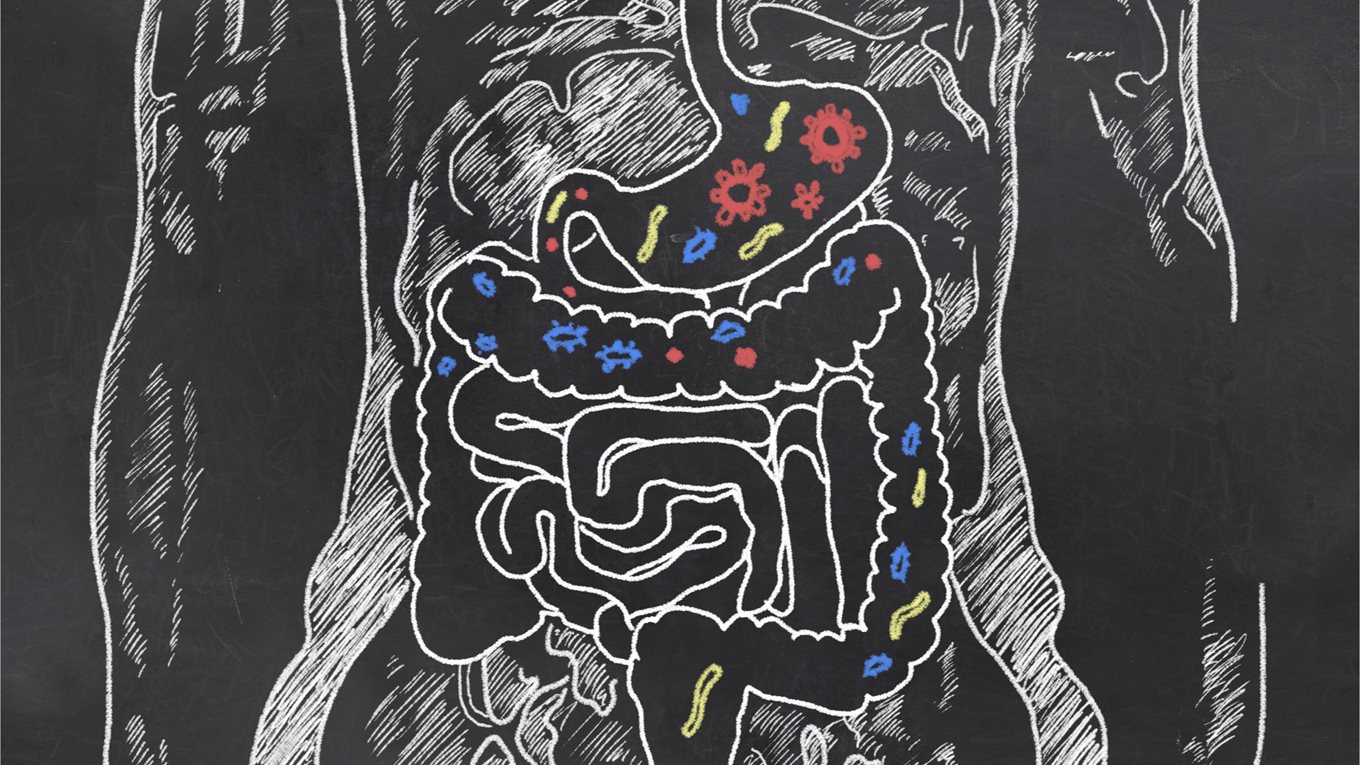 Chalk drawing on blackboard of digestive system with bacteria