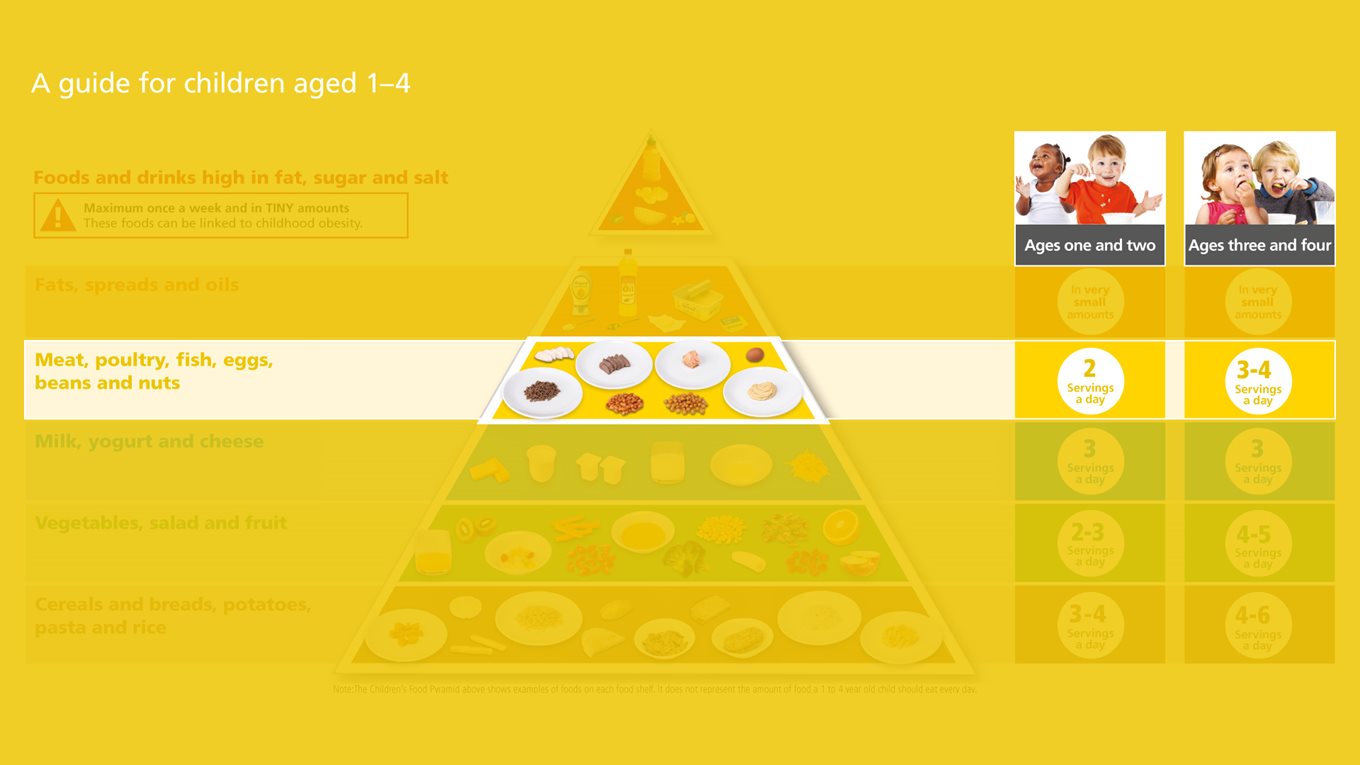 Protein shelf of the children's food pyramid