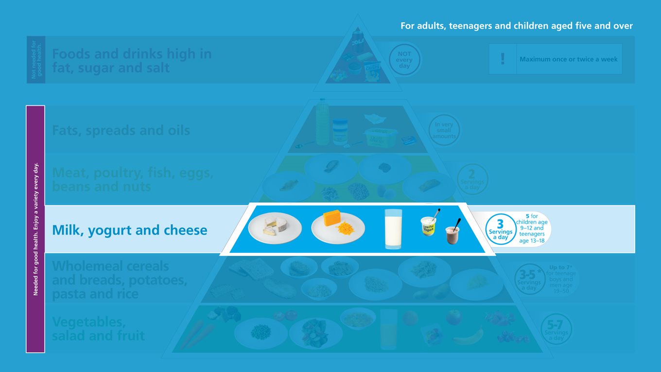 Dairy foods include milk, butter, yoghurt, cheese