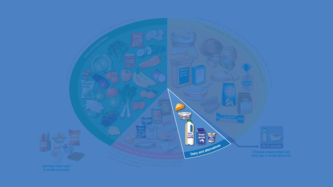 dairy foods on the eatwell plate