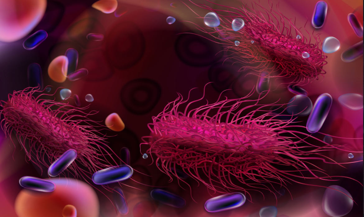 Image of Salmonella bacteria under the microscope