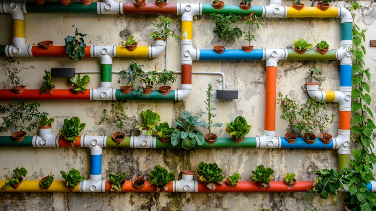 Urban agriculture